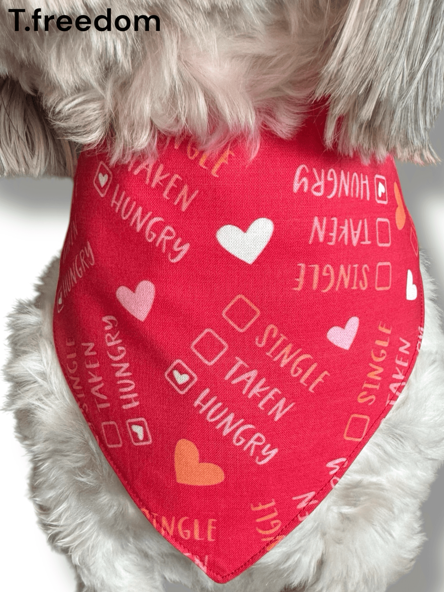 Single, Taken, Hungry Dog Bandana gallery image