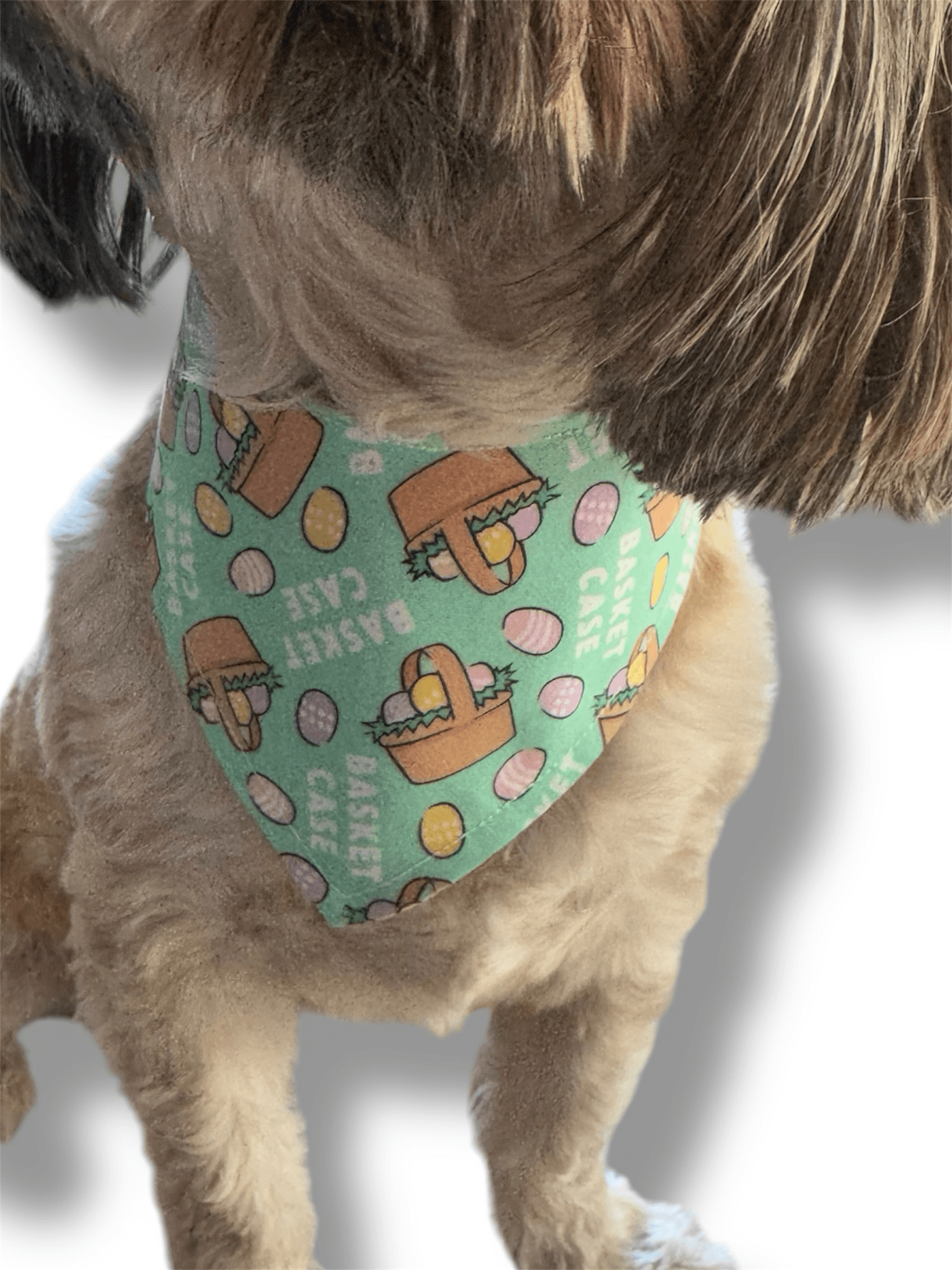 Basket Case Reversible Dog Bandana gallery image