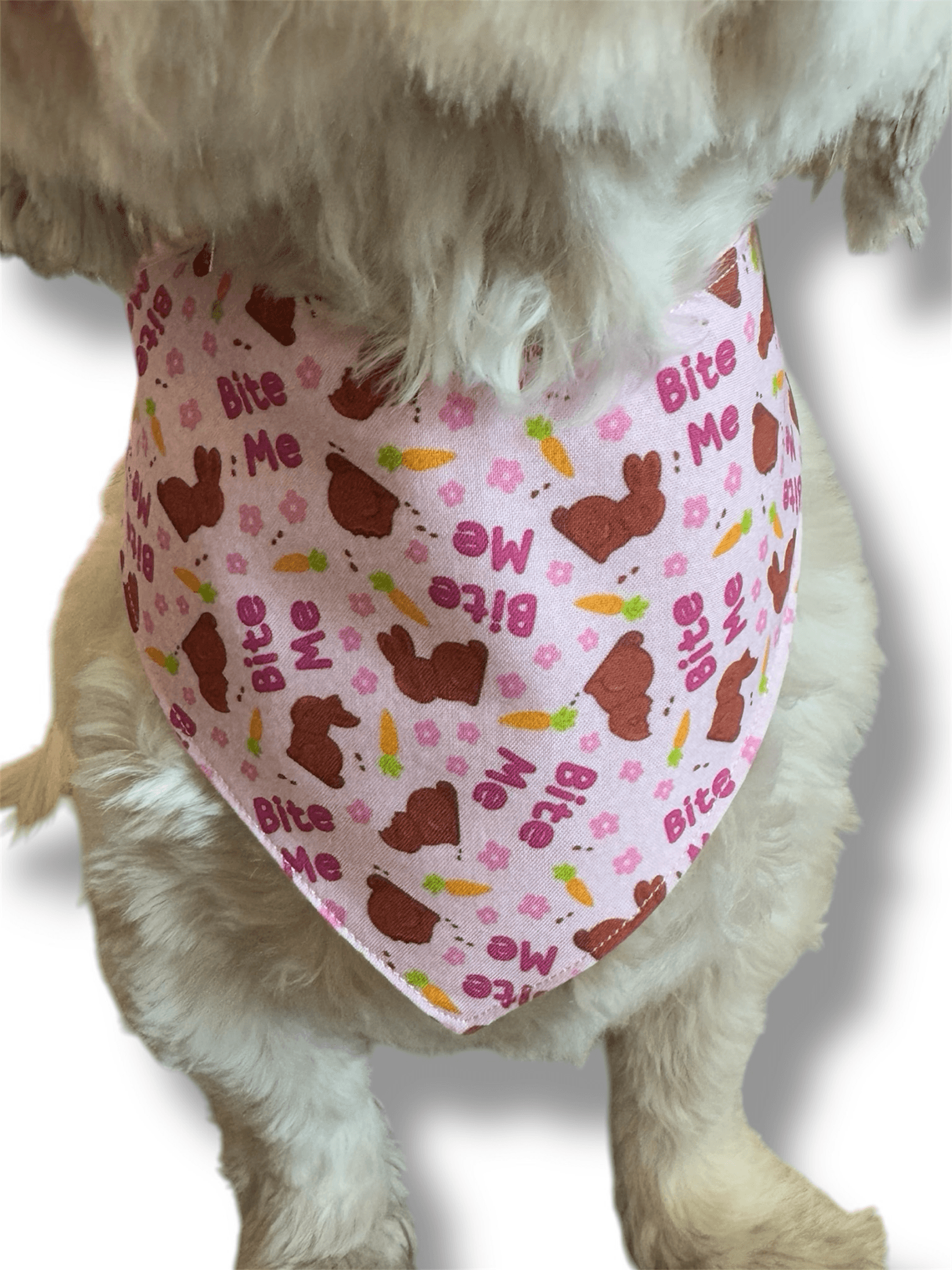 “Bite Me” ReversibleDog Bandana gallery image