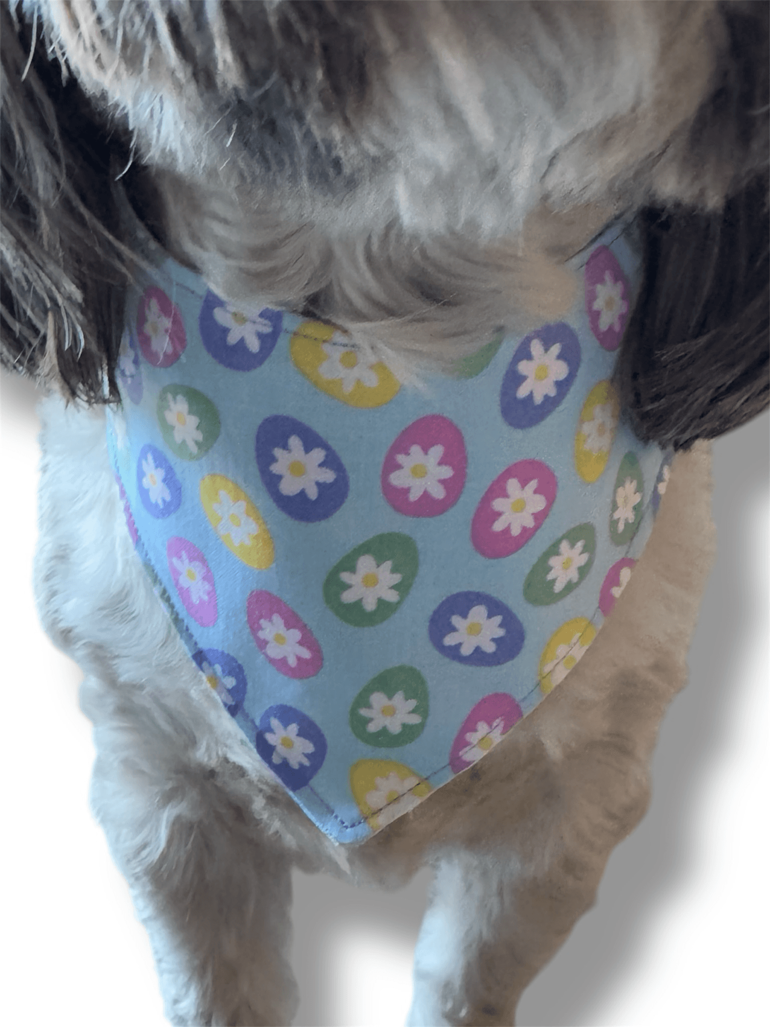 Egg-citing Spring Reversible Dog Bandana gallery image
