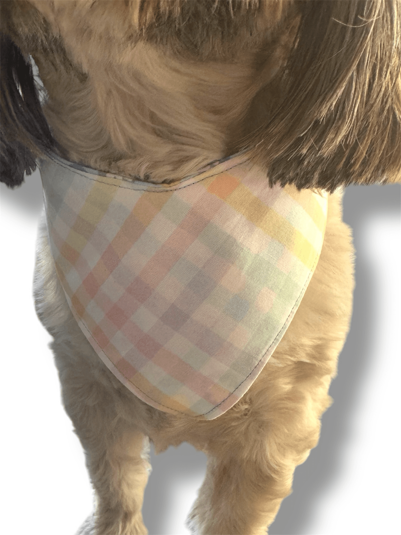 Egg-citing Spring Reversible Dog Bandana gallery image