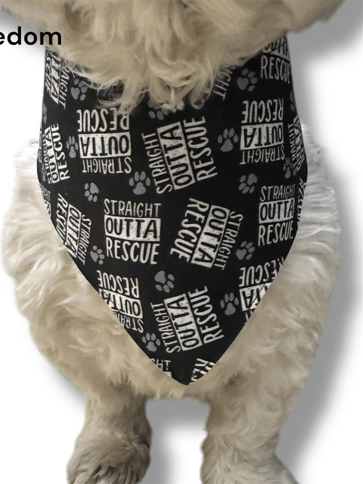 Straight Out Of Rescue Reversible Dog Bandana gallery image