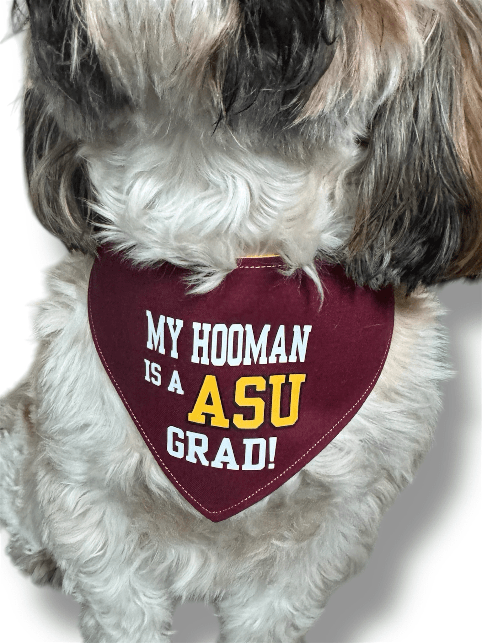 ASU Celebration Reversible Dog Bandana gallery image