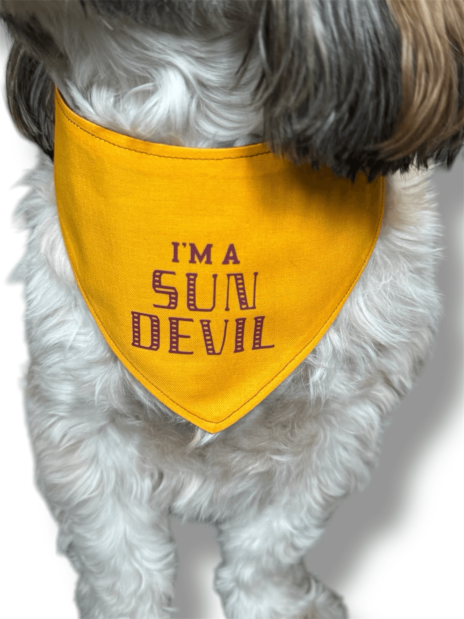 ASU Celebration Reversible Dog Bandana gallery image