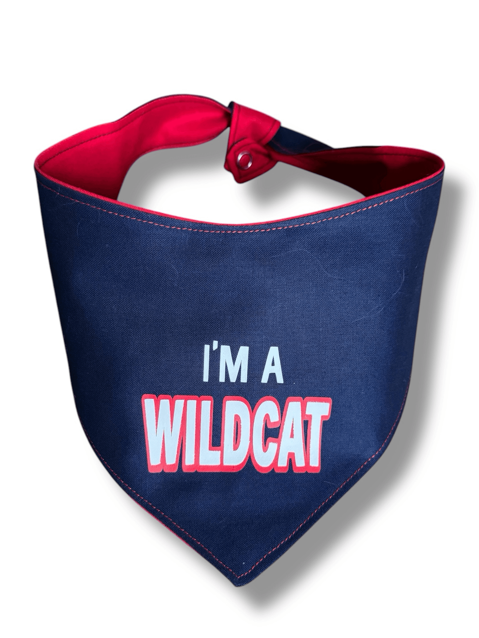 UofA Celebrations Reversible Dog Bandana gallery image