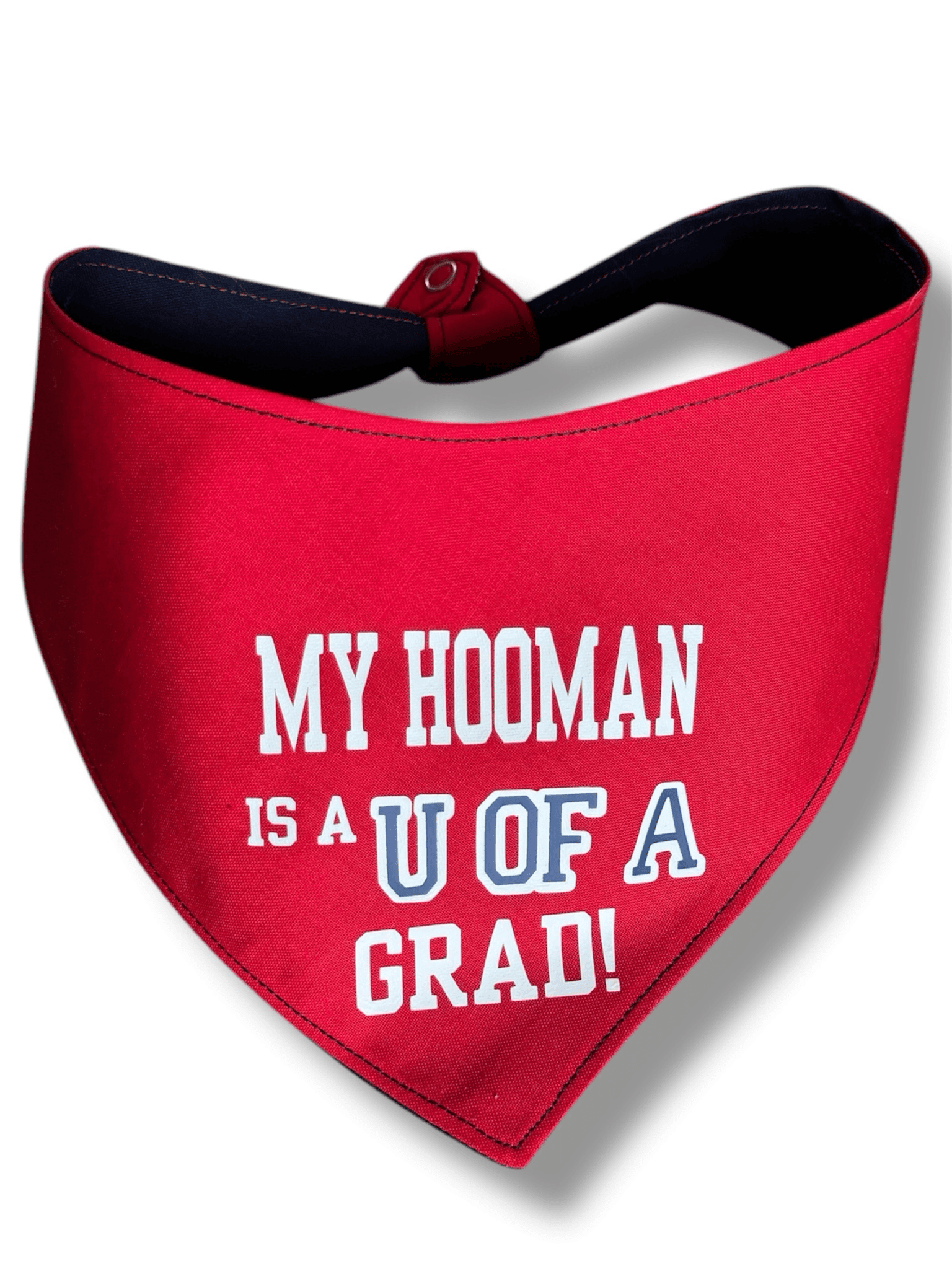 UofA Celebrations Reversible Dog Bandana