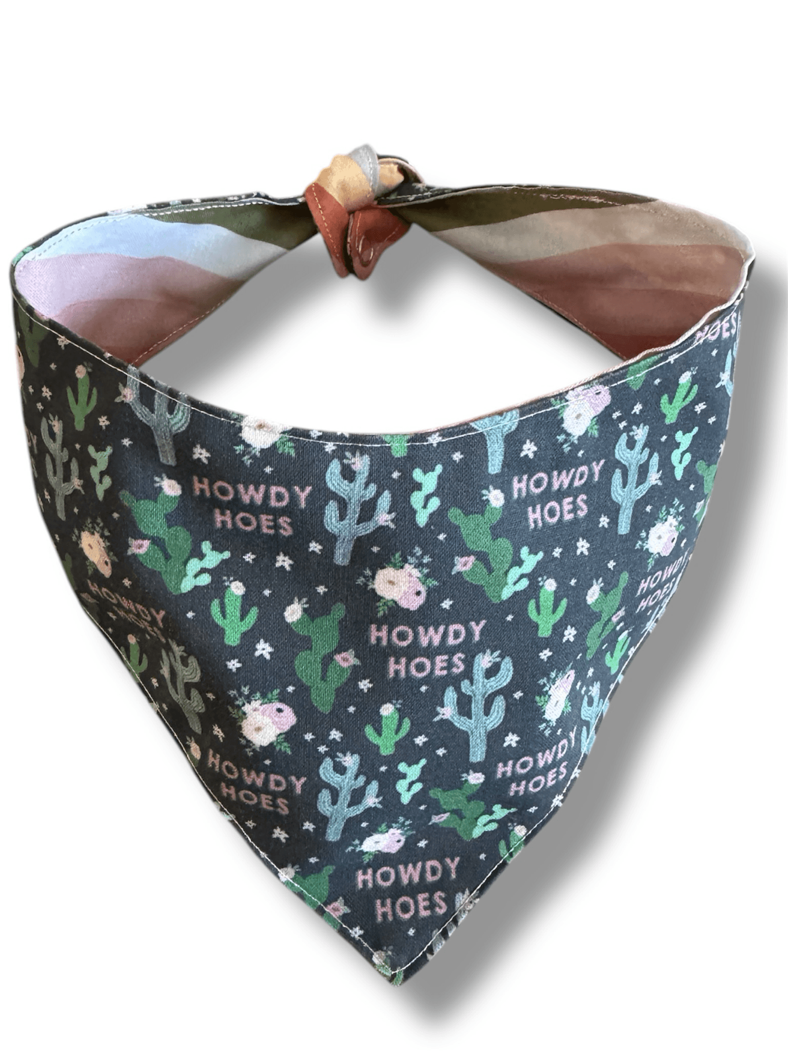 Howdy Hoes Reversible Dog Bandana