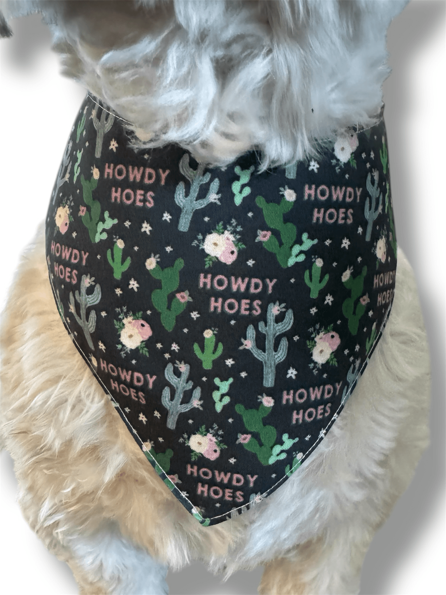 Howdy Hoes Reversible Dog Bandana gallery image