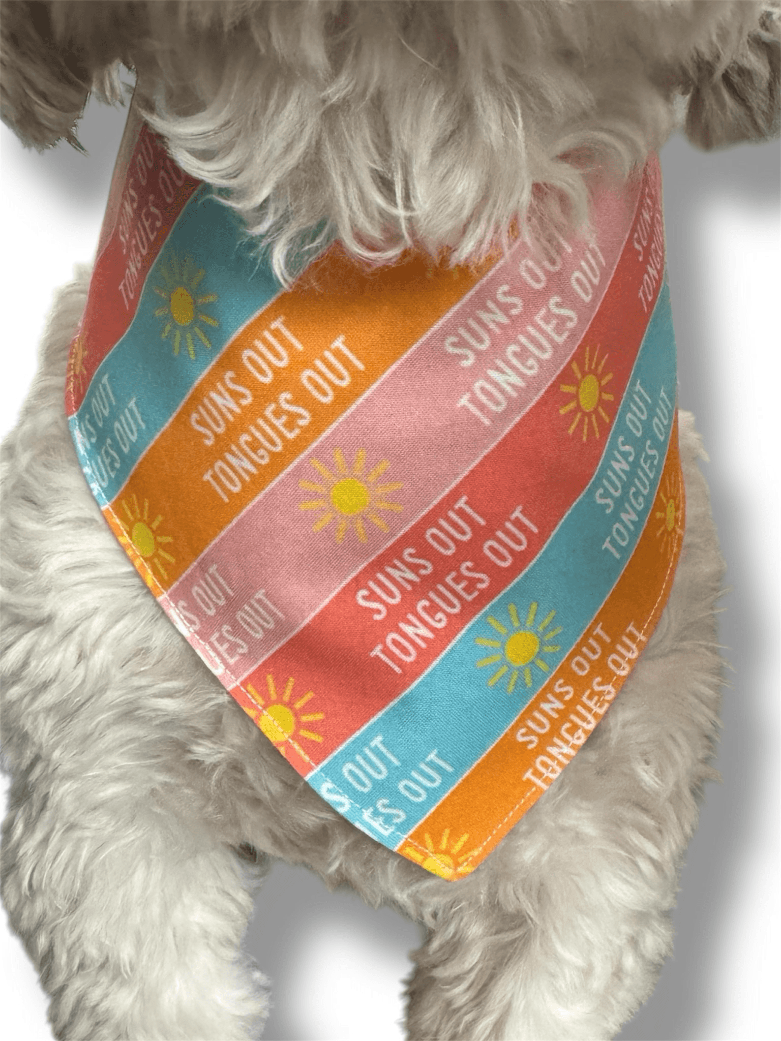 Suns Out, Tongues Out Reversible Bandana gallery image
