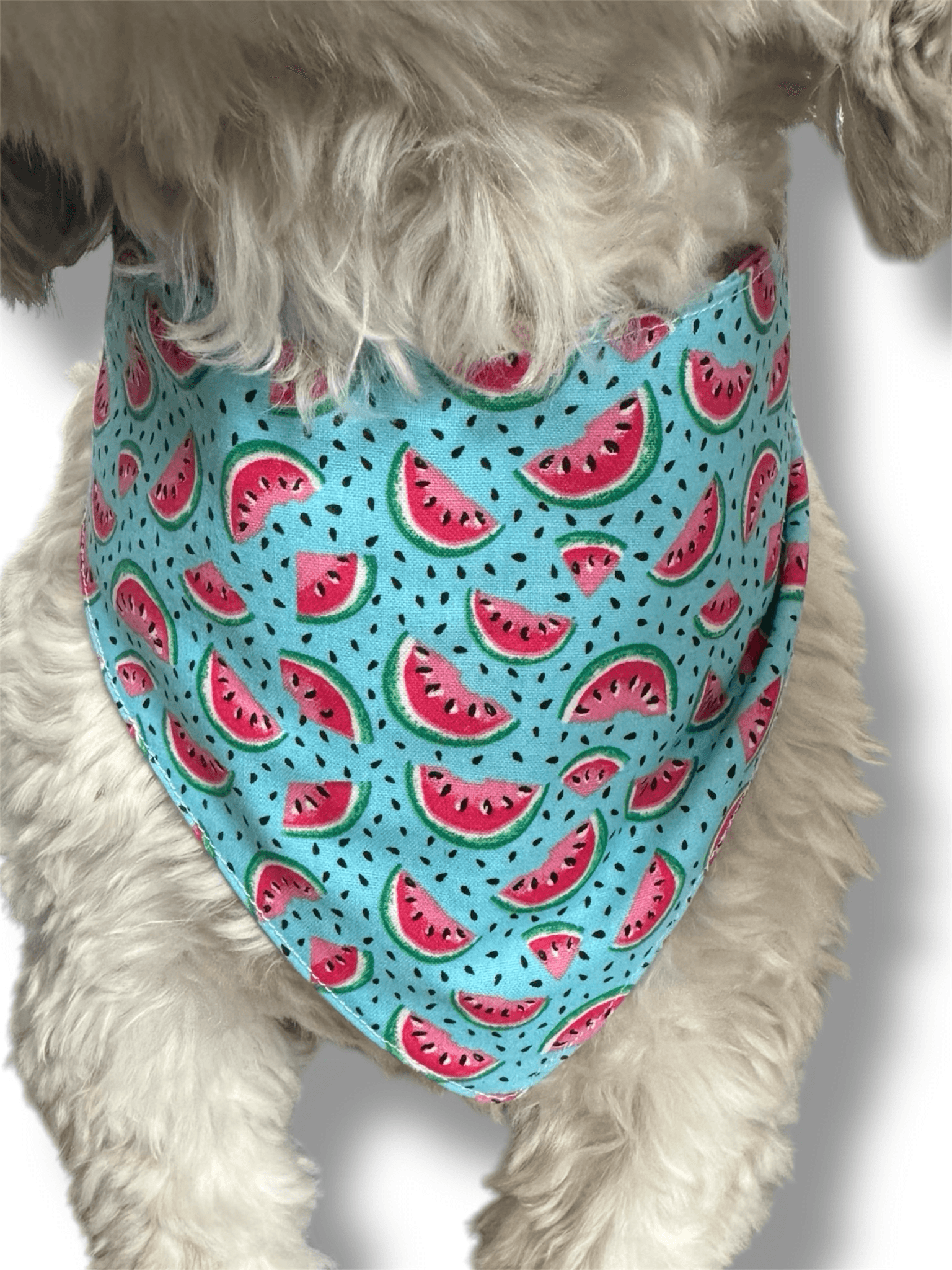 Suns Out, Tongues Out Reversible Bandana gallery image