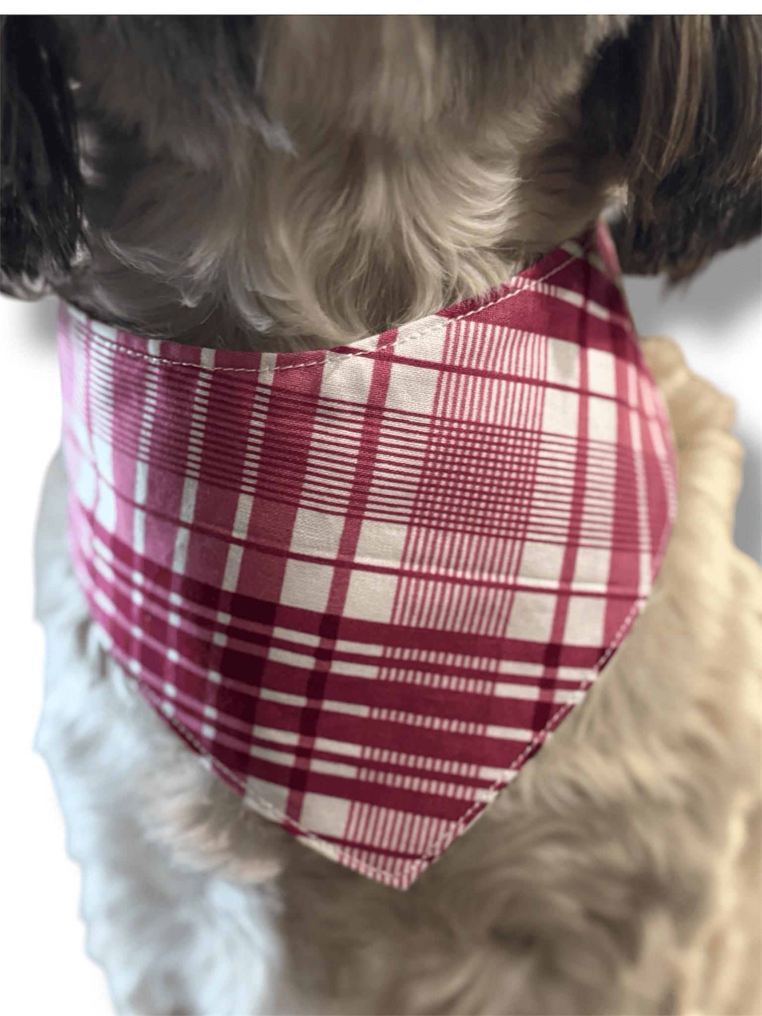 Sassy’ N Plaid Reversible Dog Bandana gallery image