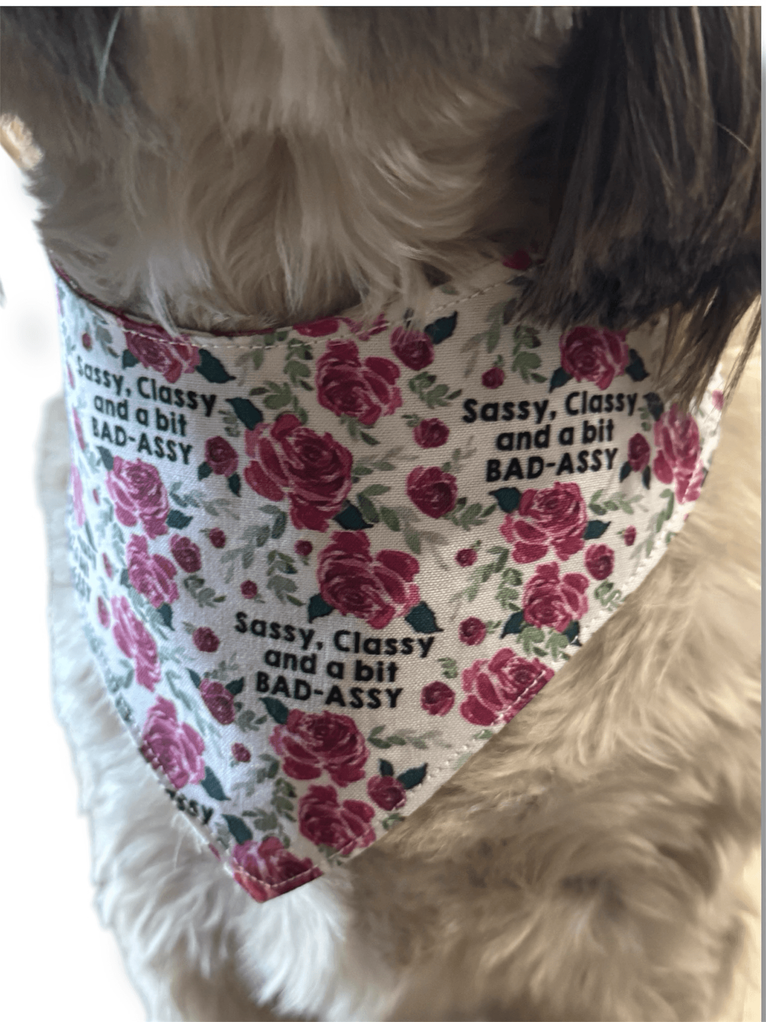 Sassy’ N Plaid Reversible Dog Bandana gallery image