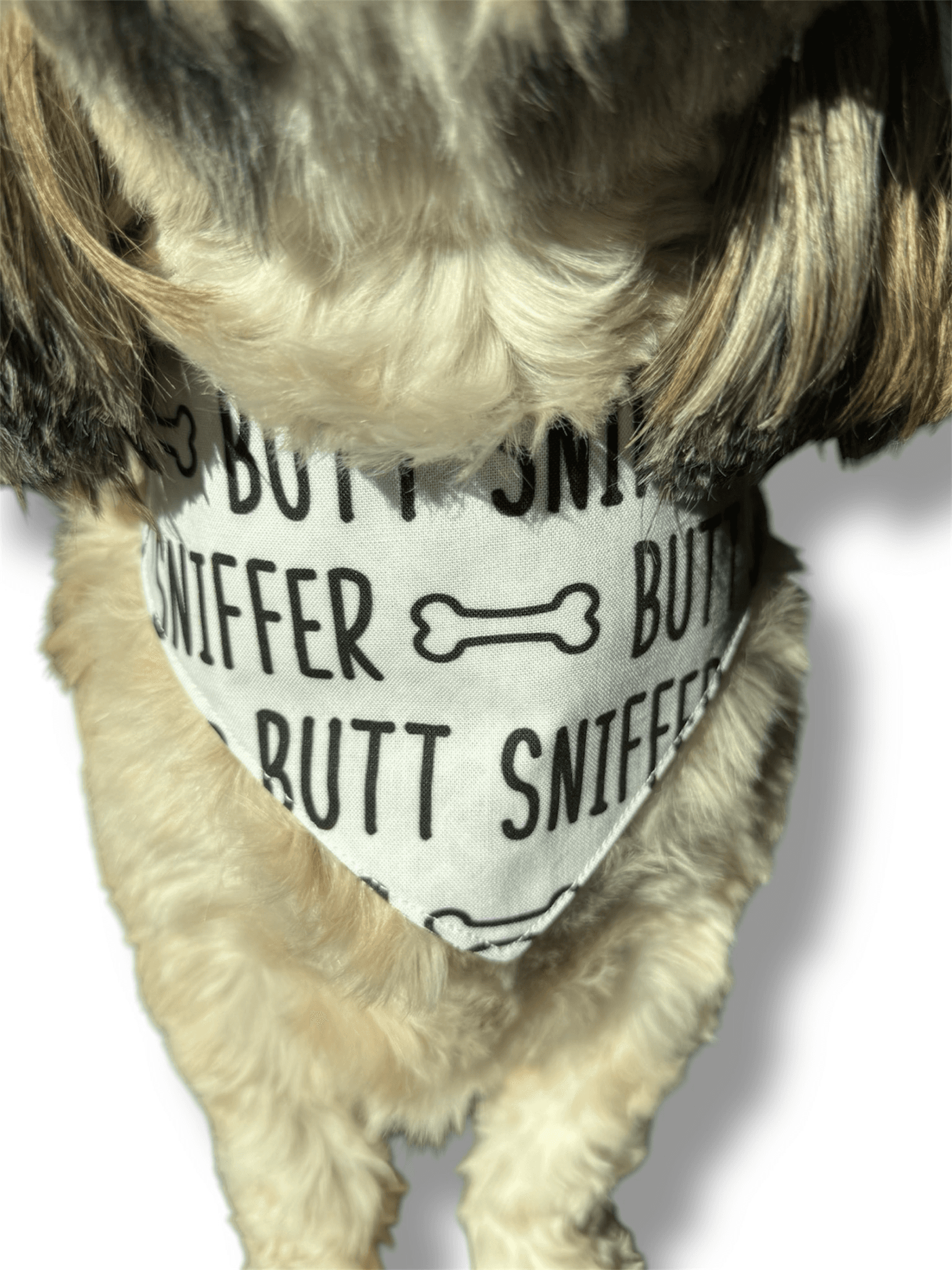 Butt Sniffer Reversible Dog Bandana gallery image