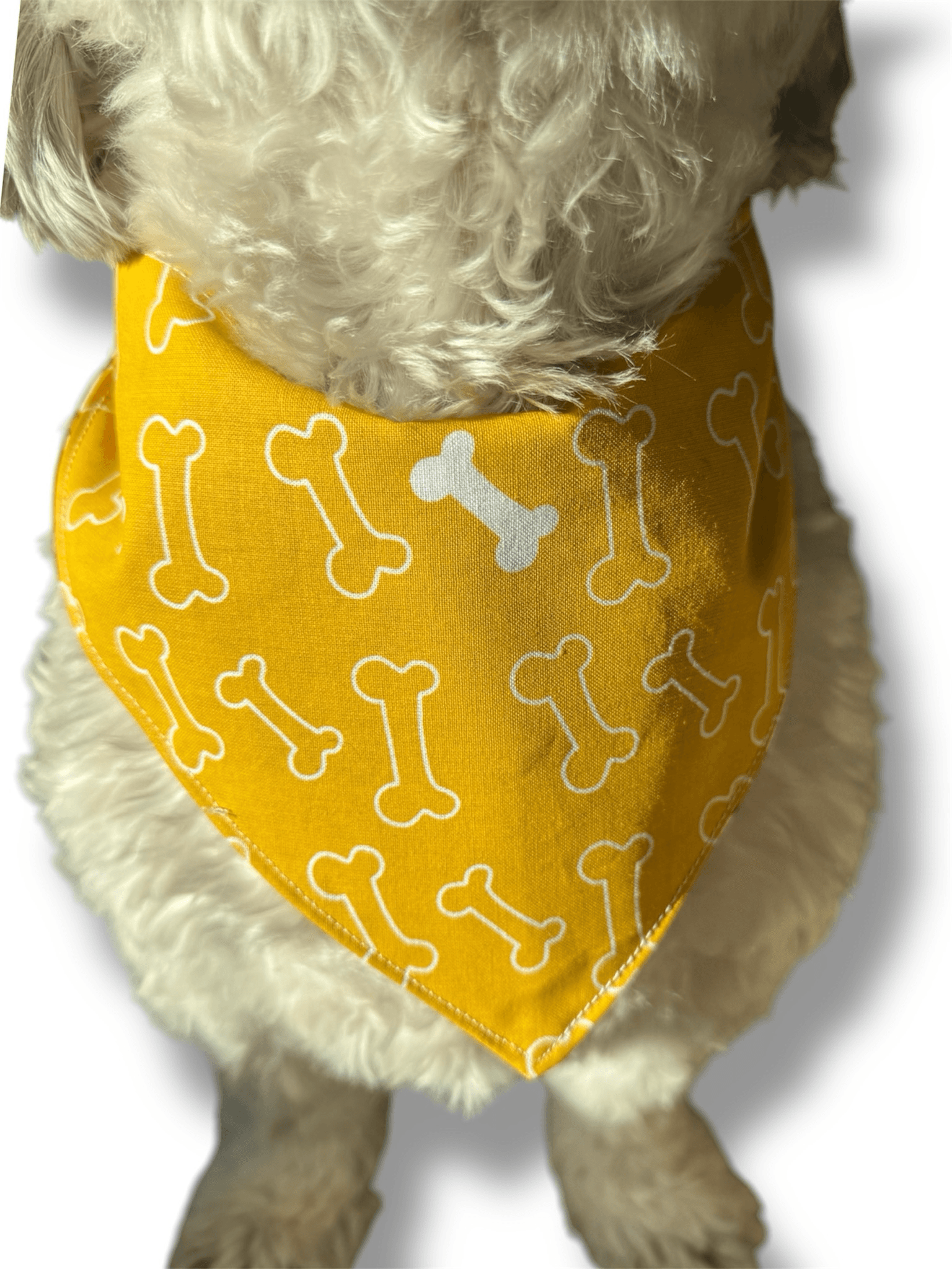 Gotcha Day Reversible Bandana gallery image