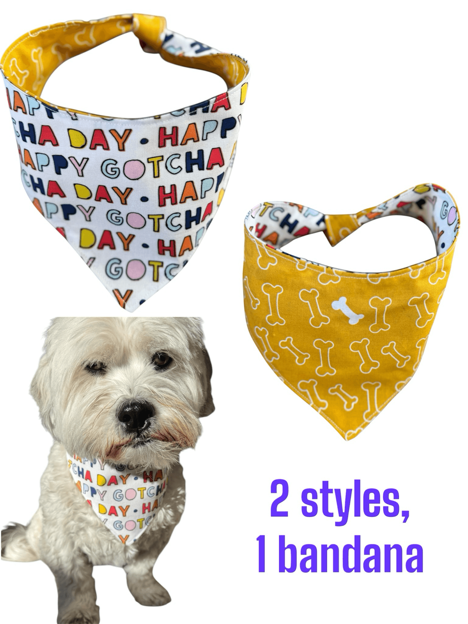 Gotcha Day Reversible Bandana gallery image