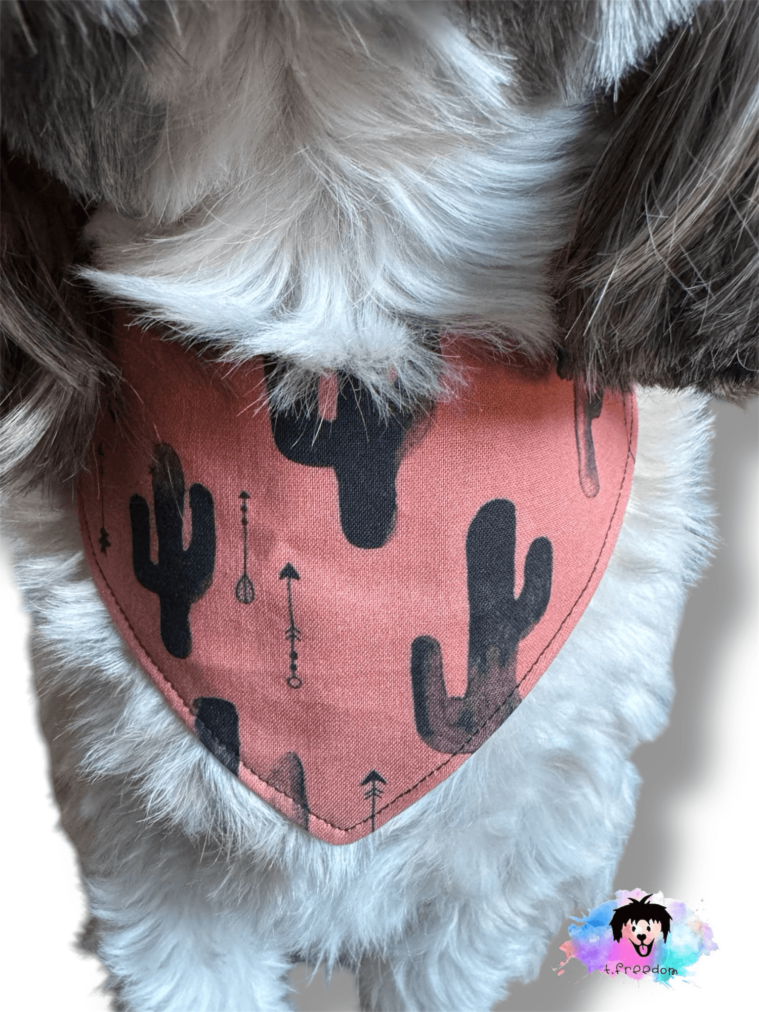Desert Daze Reversible Dog Bandana gallery image