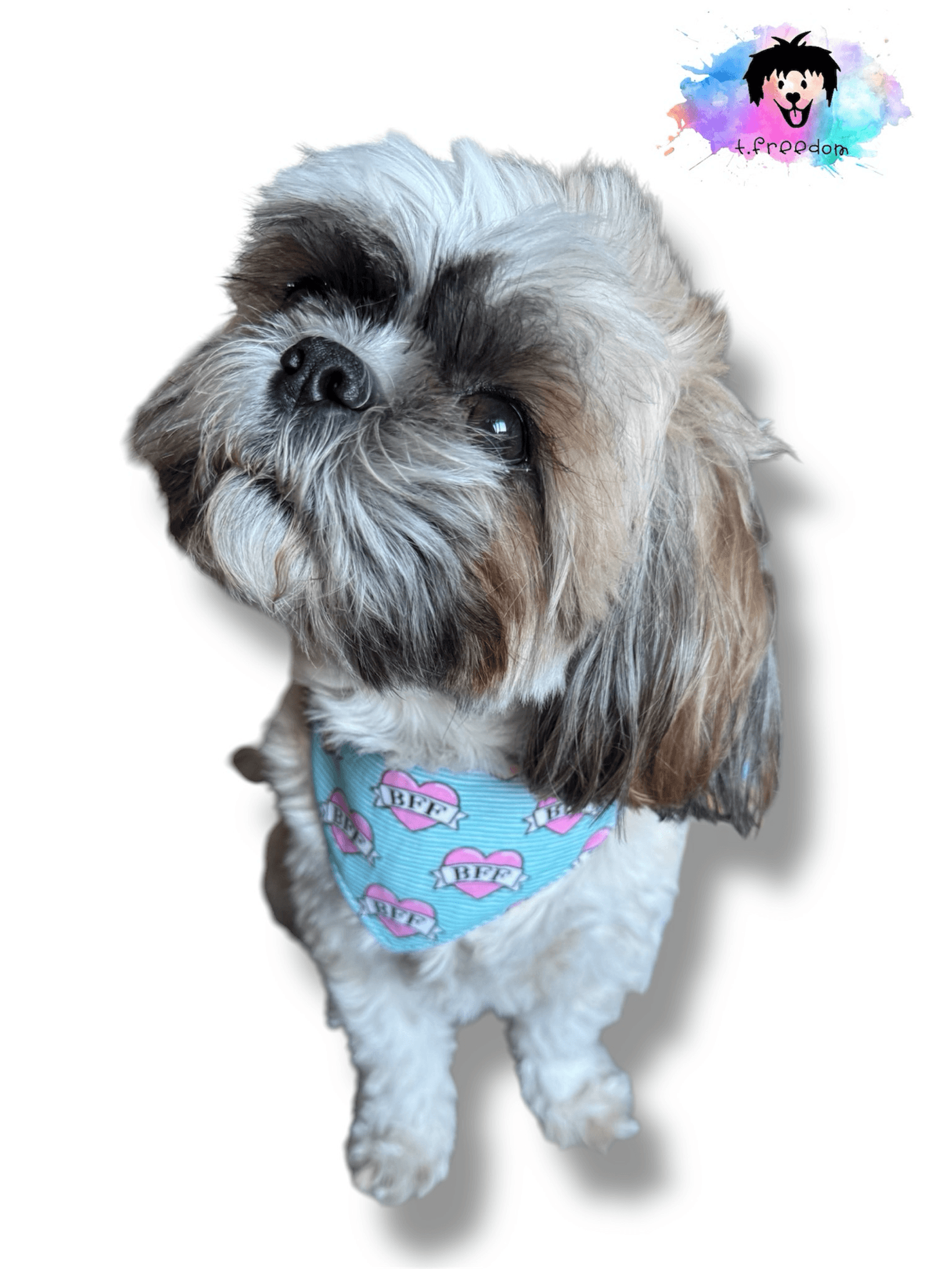 BFF & Dots Reversible Dog Bandana gallery image