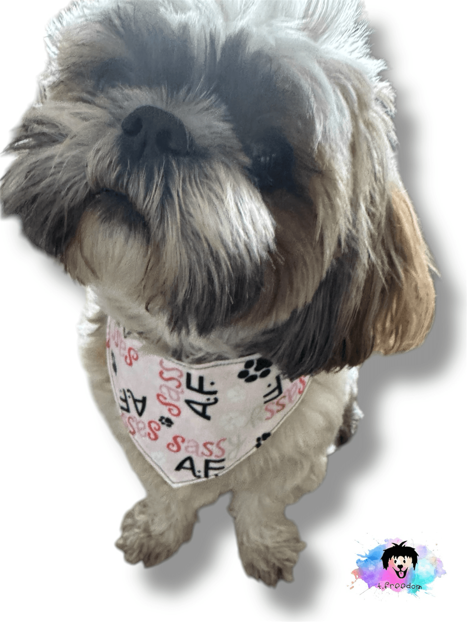 Floral Sassy Reversible Dog Bandana gallery image