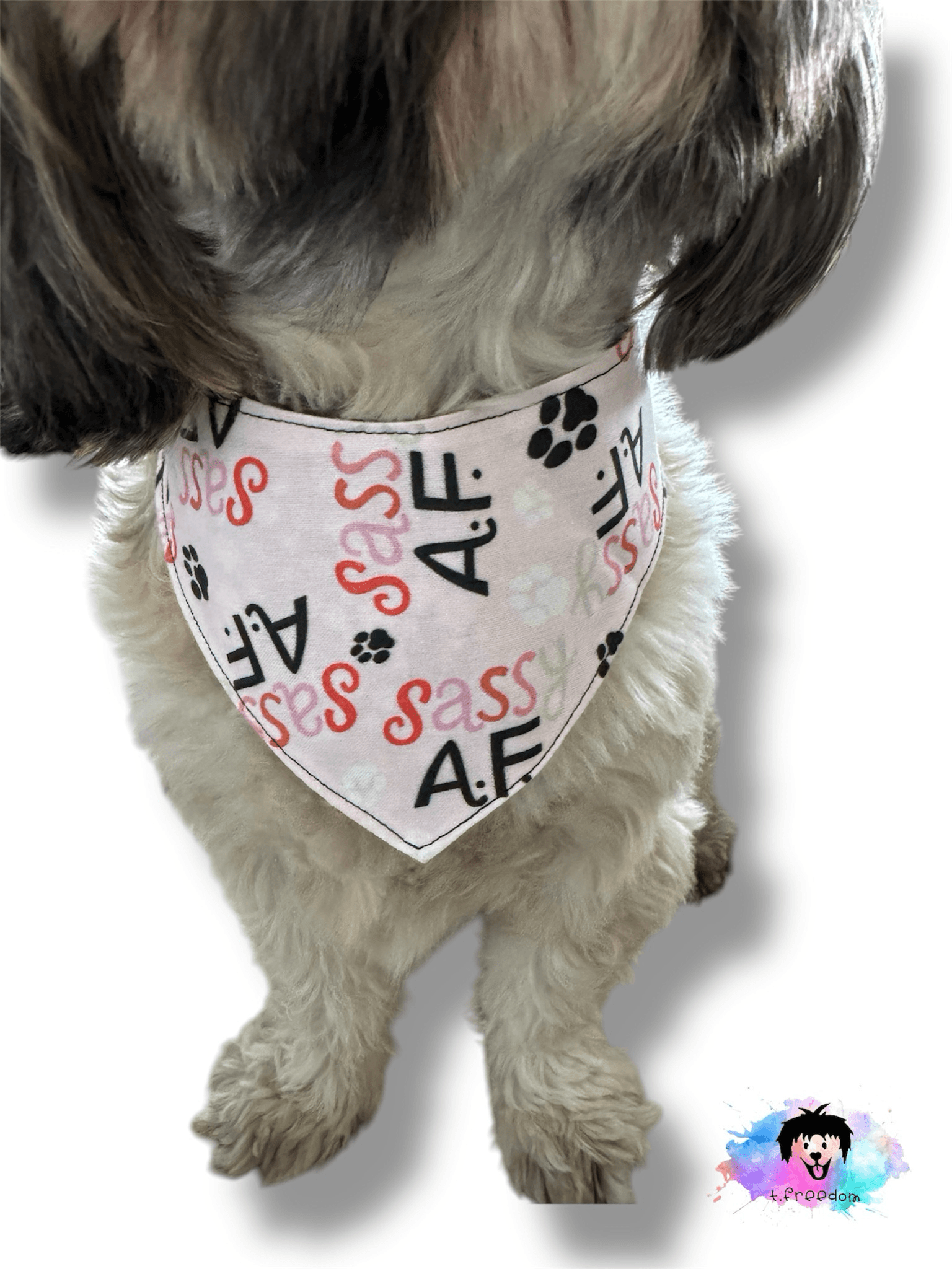 Floral Sassy Reversible Dog Bandana gallery image