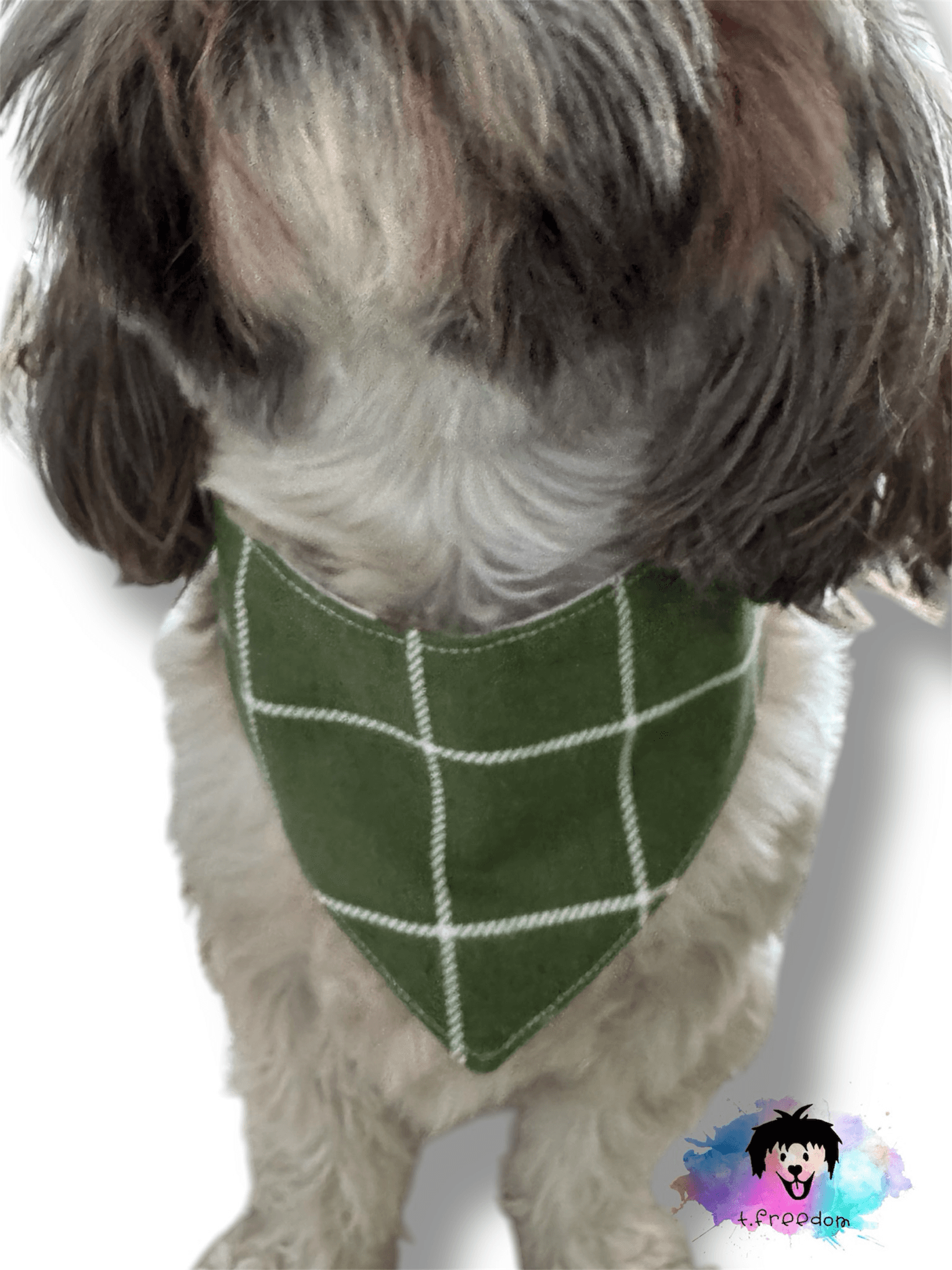 Mama’s Boy Plaid Dog Bandana gallery image