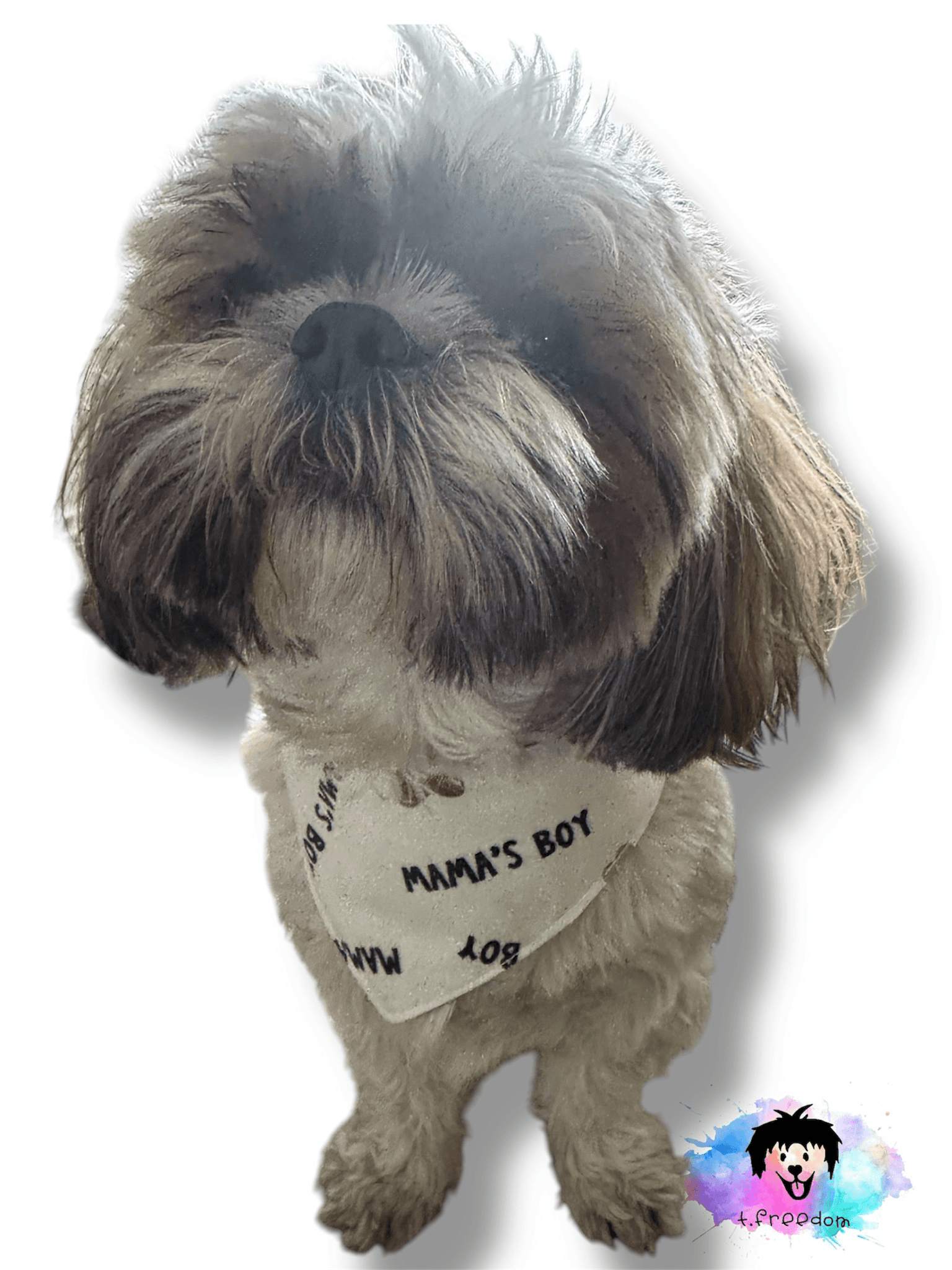 Mama’s Boy Plaid Dog Bandana gallery image