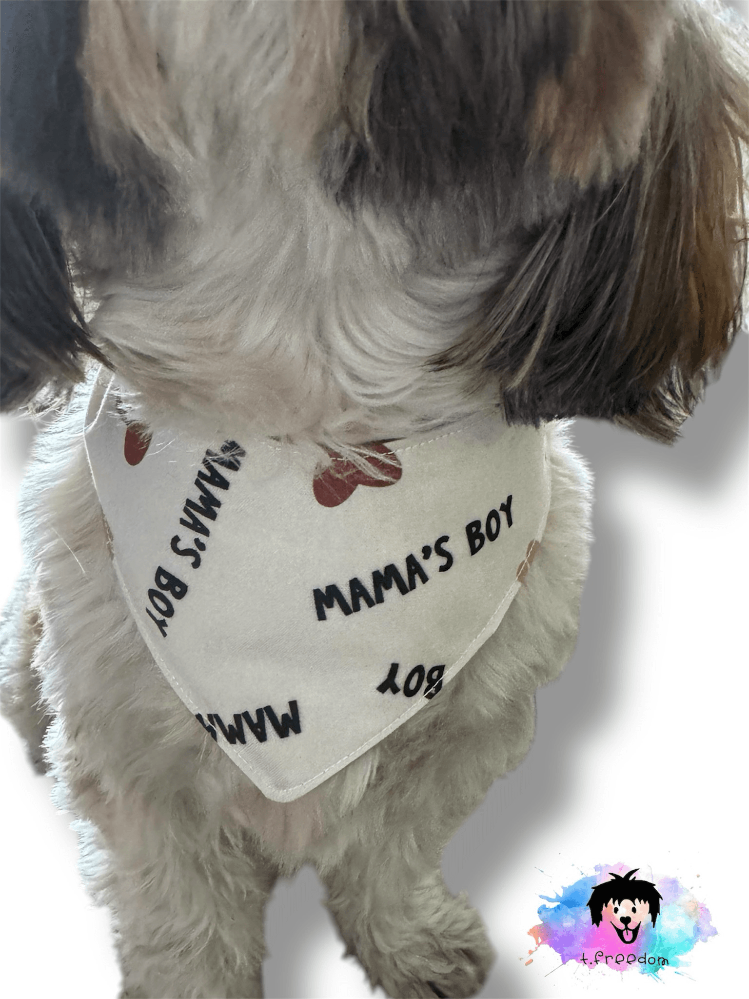Mama’s Boy Plaid Dog Bandana gallery image