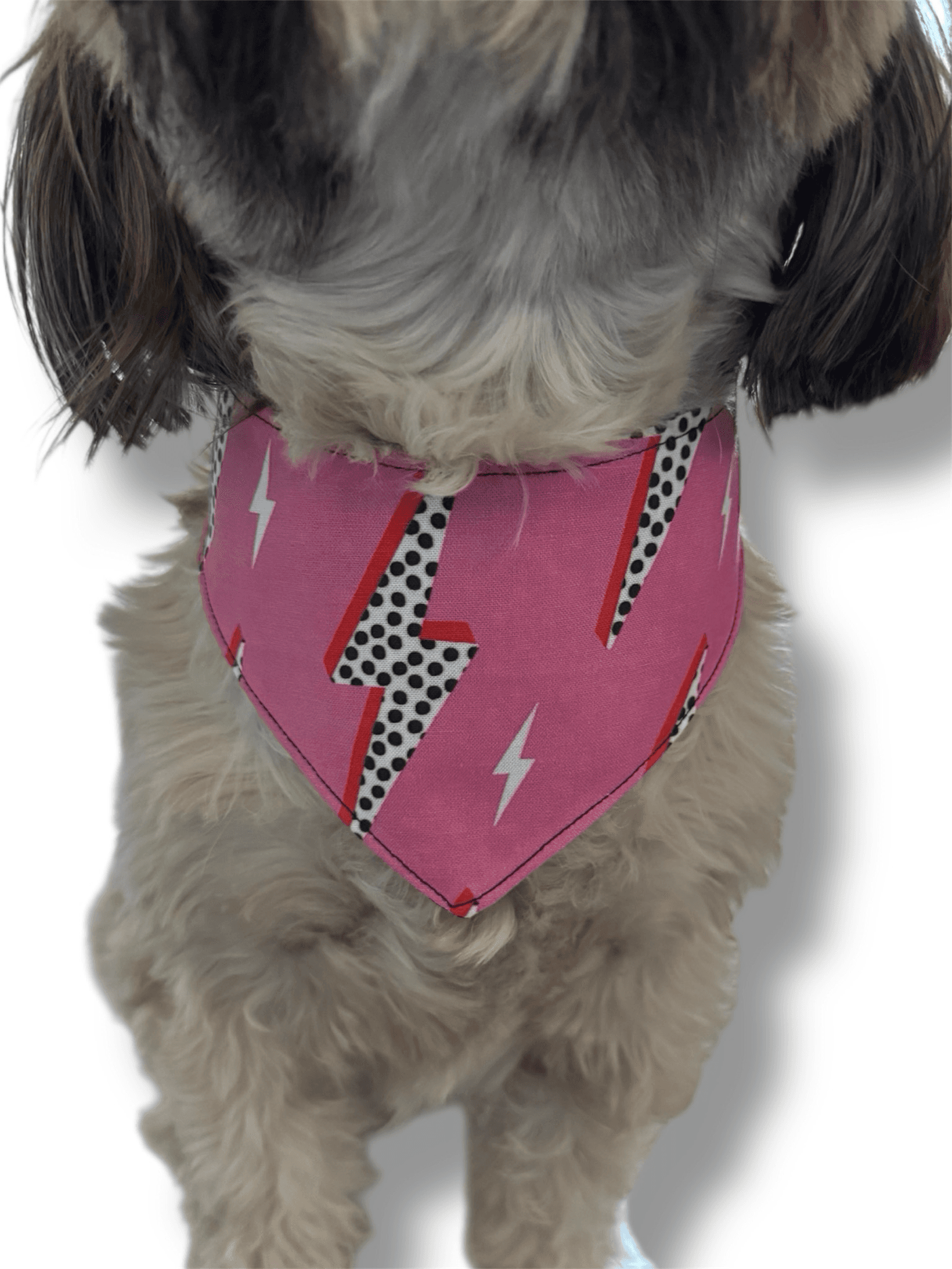 The Ziggy Pupdust Reversible Dog Bandana gallery image