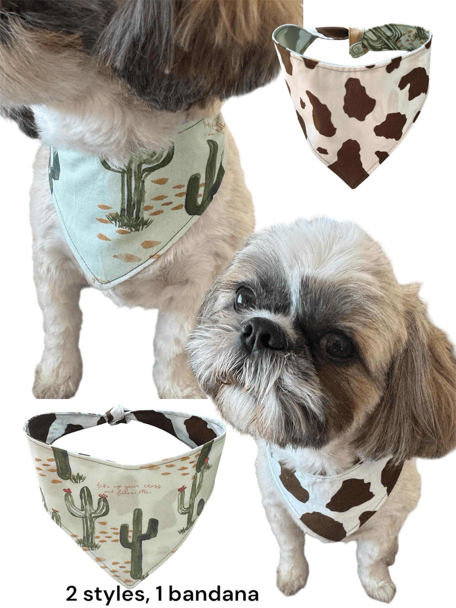 Desert Faith & Cowhide Grace Dog Bandana gallery image