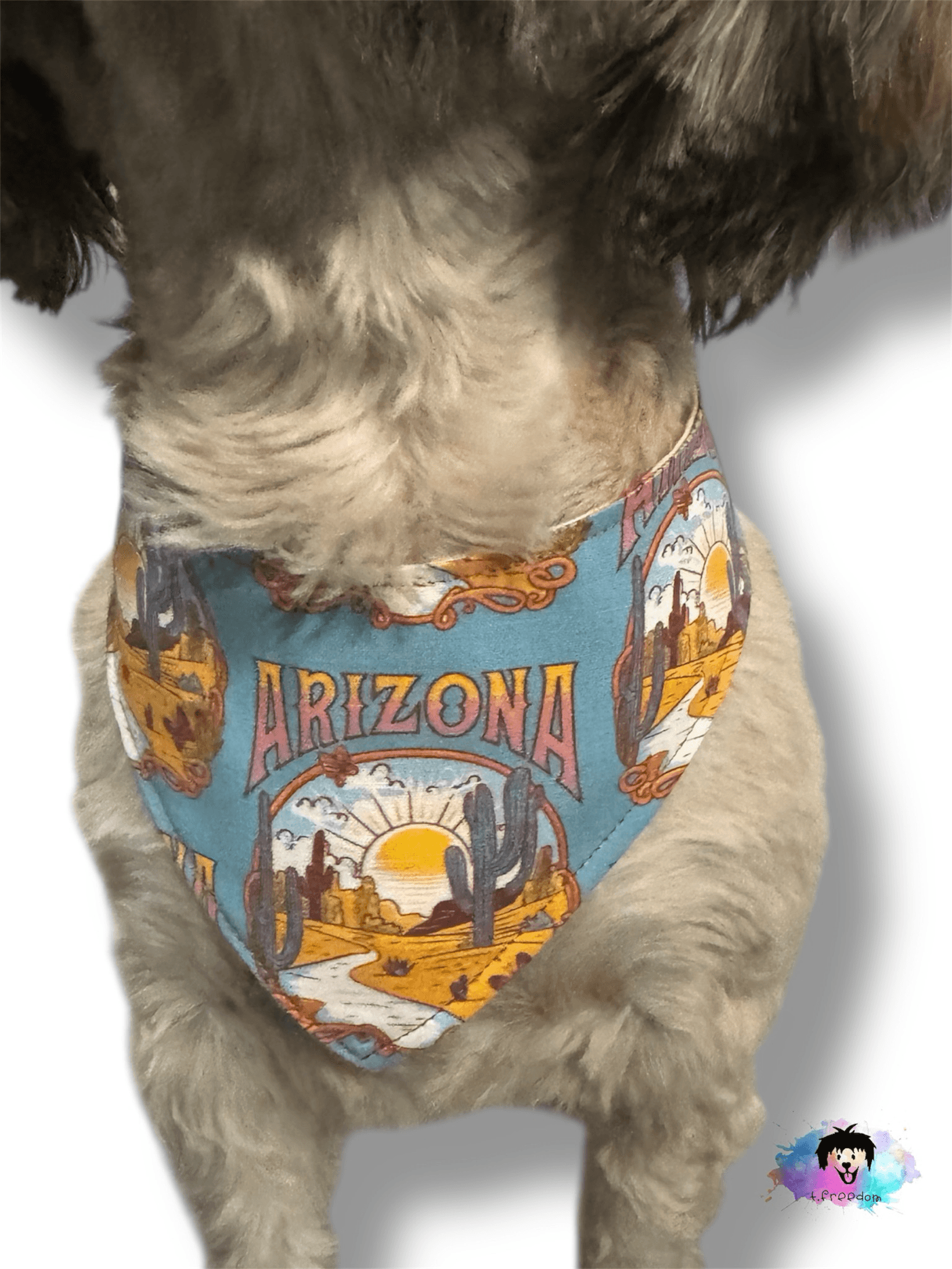 Saguaro Sunset Dog Bandana gallery image