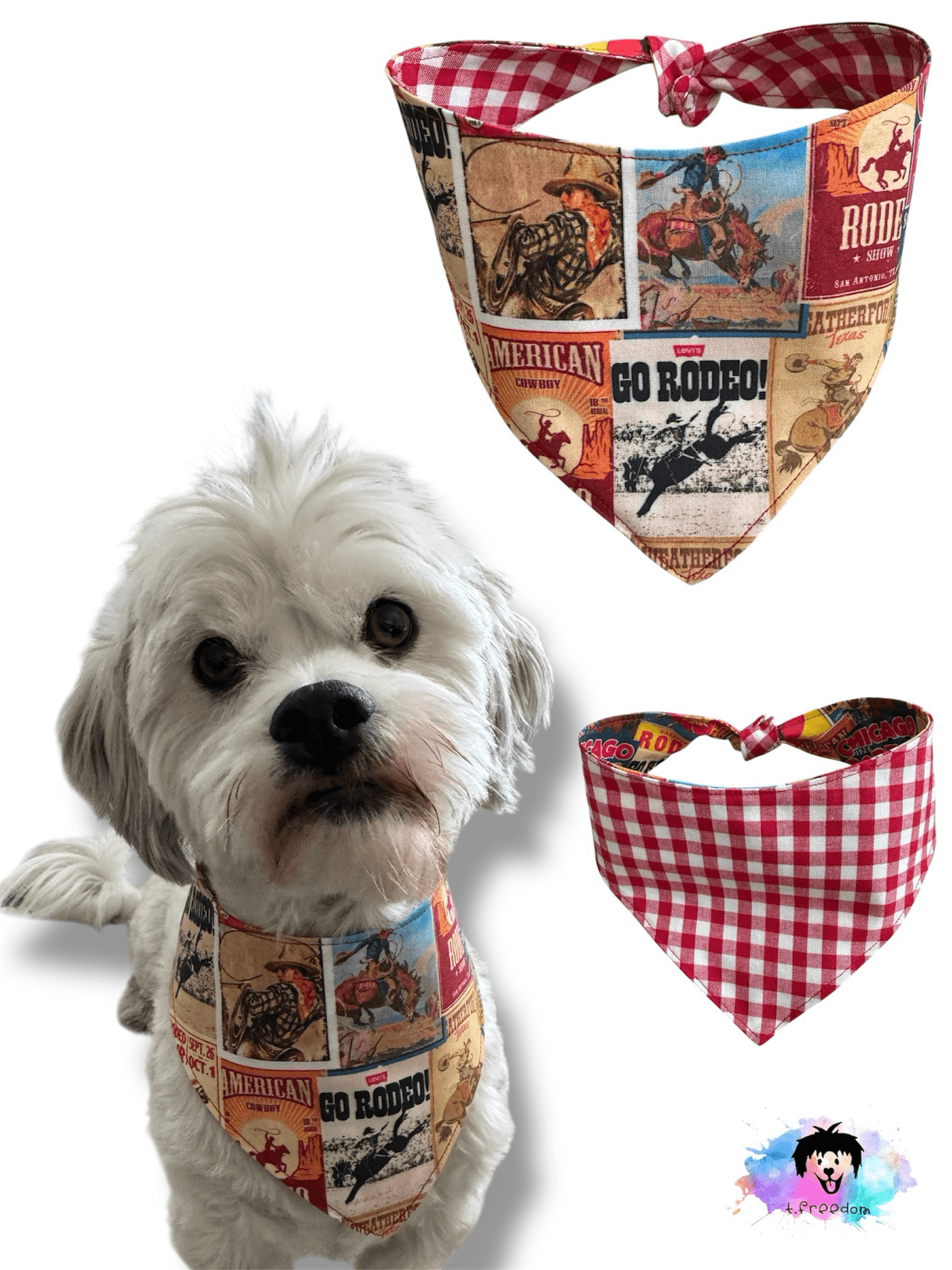 Rodeo Ready Reversible Dog Bandana gallery image