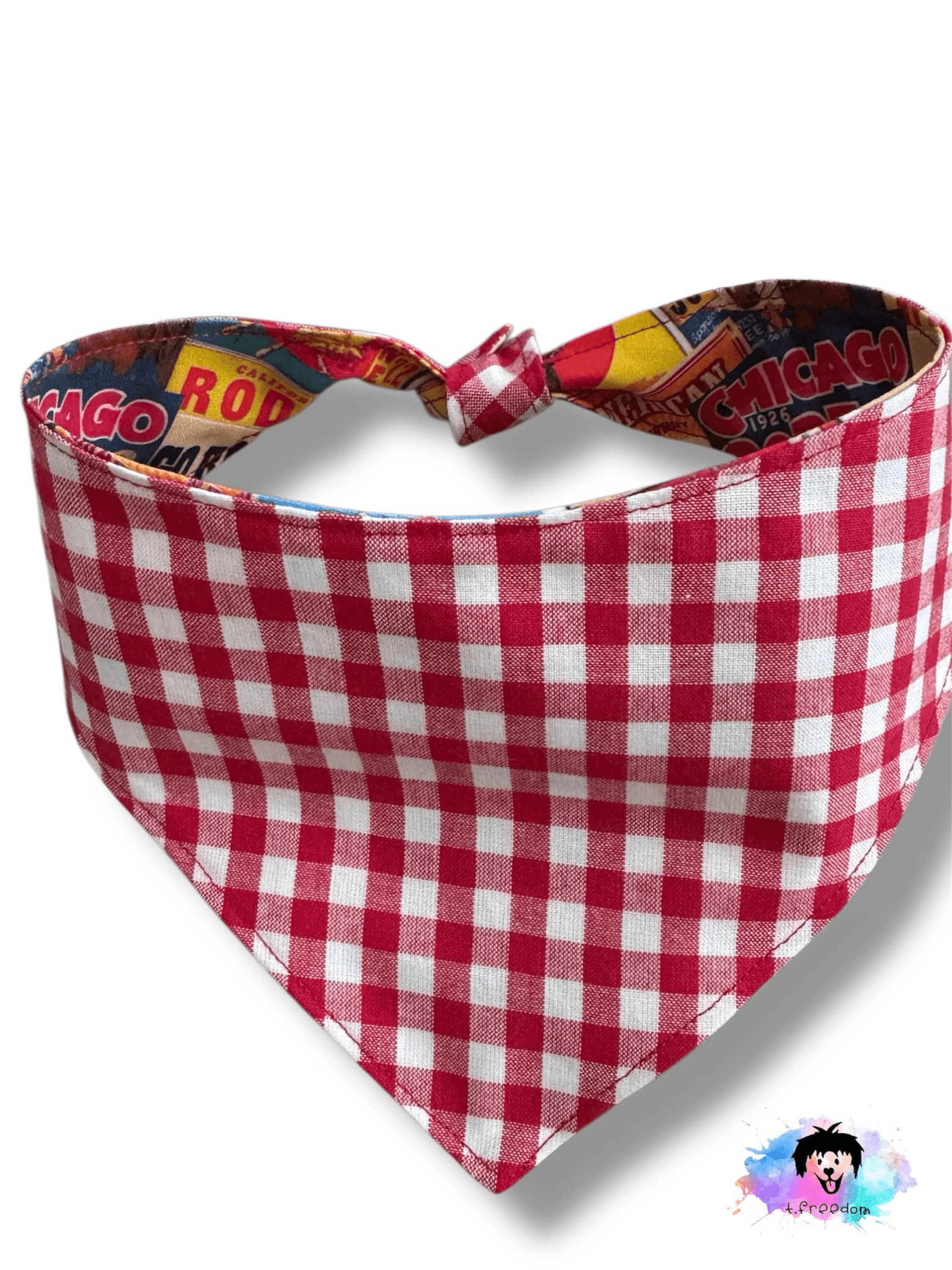 Rodeo Ready Reversible Dog Bandana gallery image