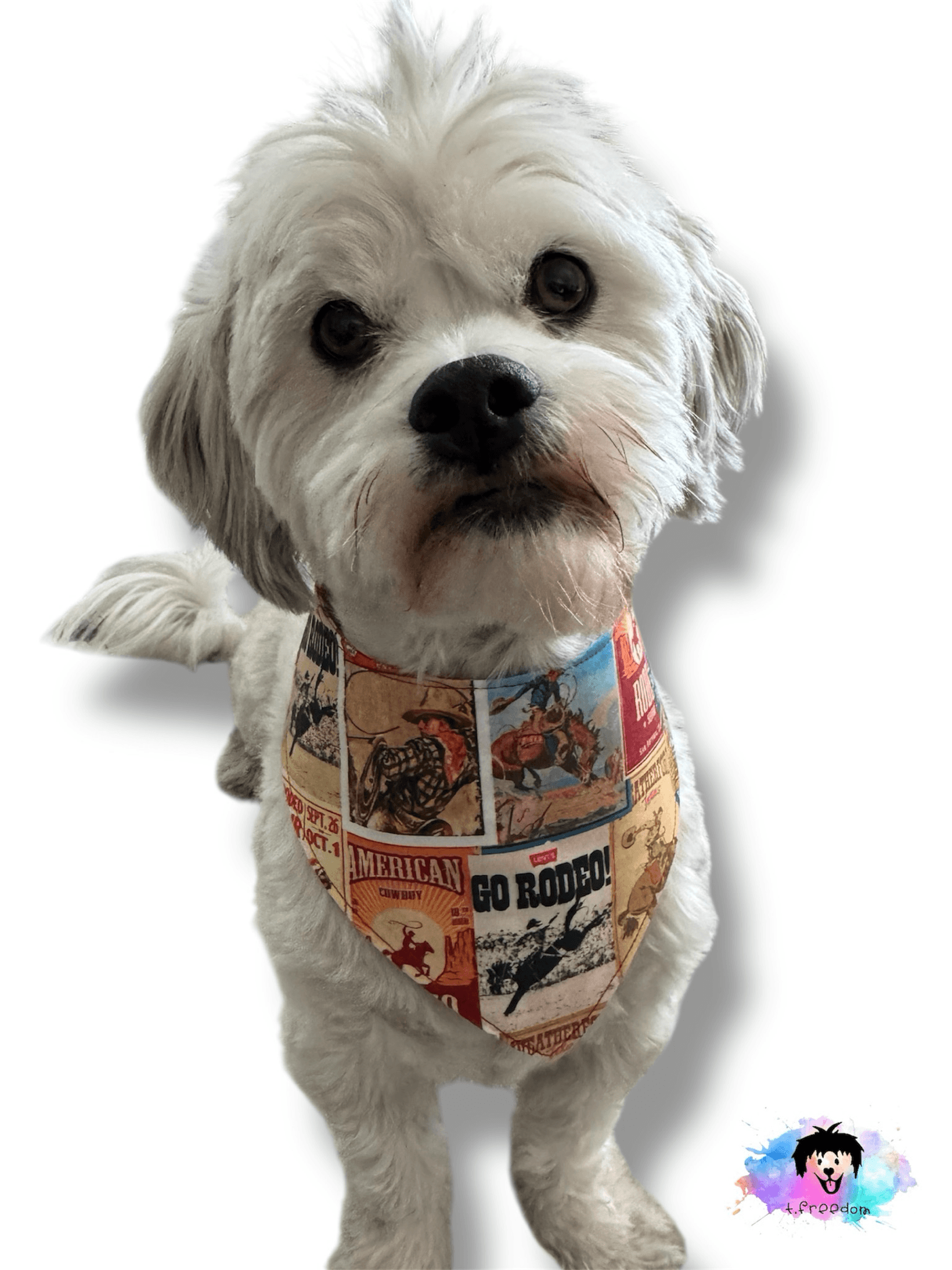 Rodeo Ready Reversible Dog Bandana gallery image