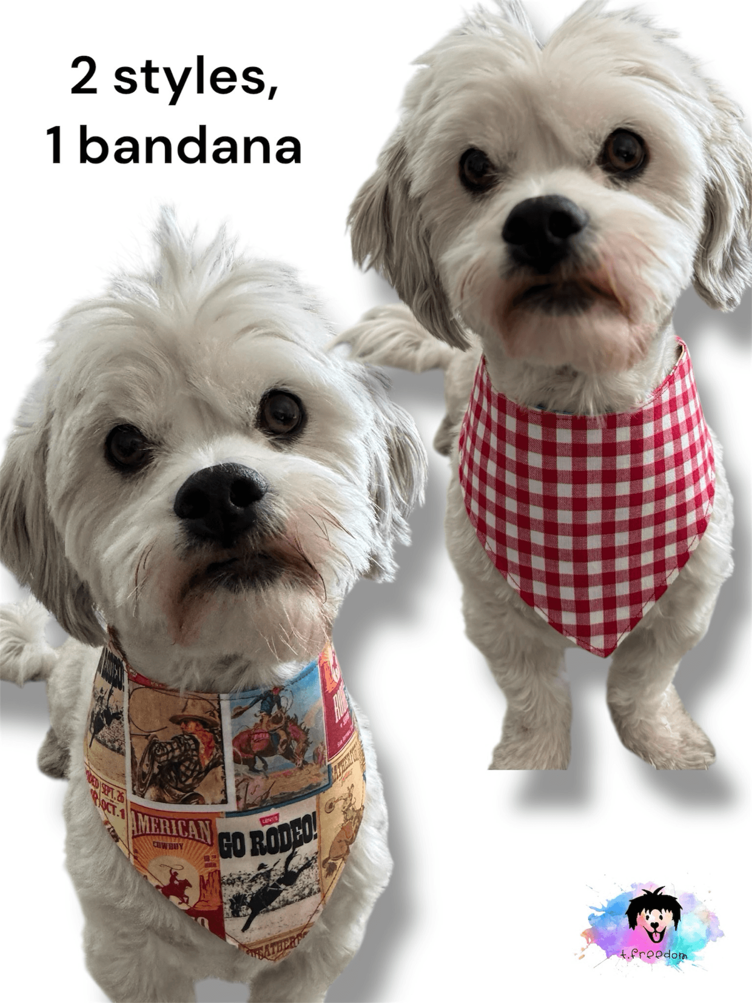 Rodeo Ready Reversible Dog Bandana gallery image