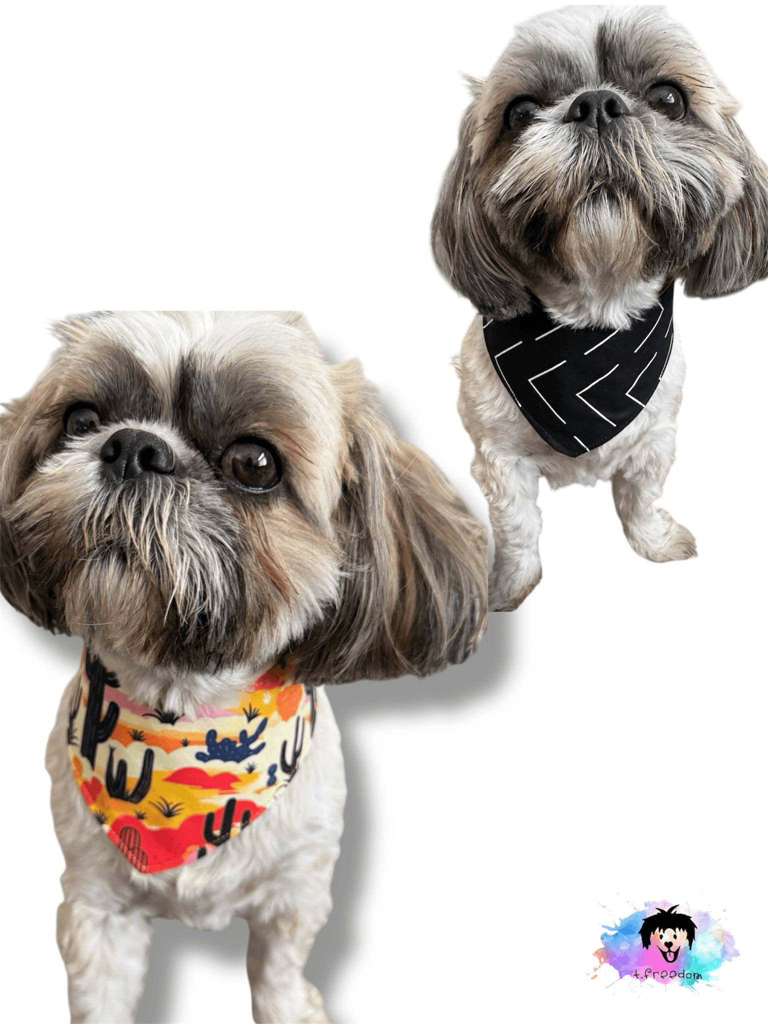 Cactus Glow Up Reversible Dog Bandana gallery image