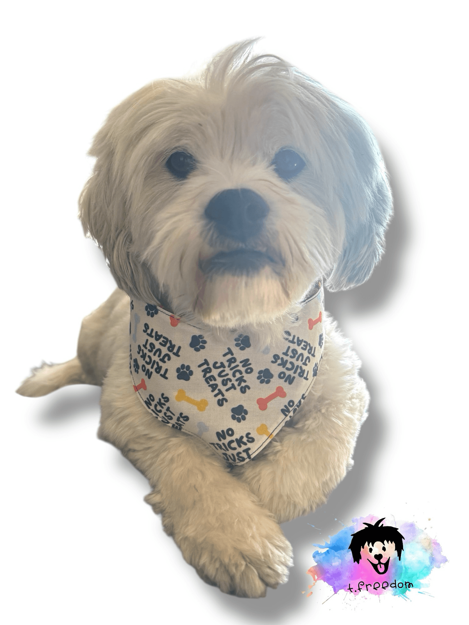 Fallin’ For Treats Dog Bandana gallery image