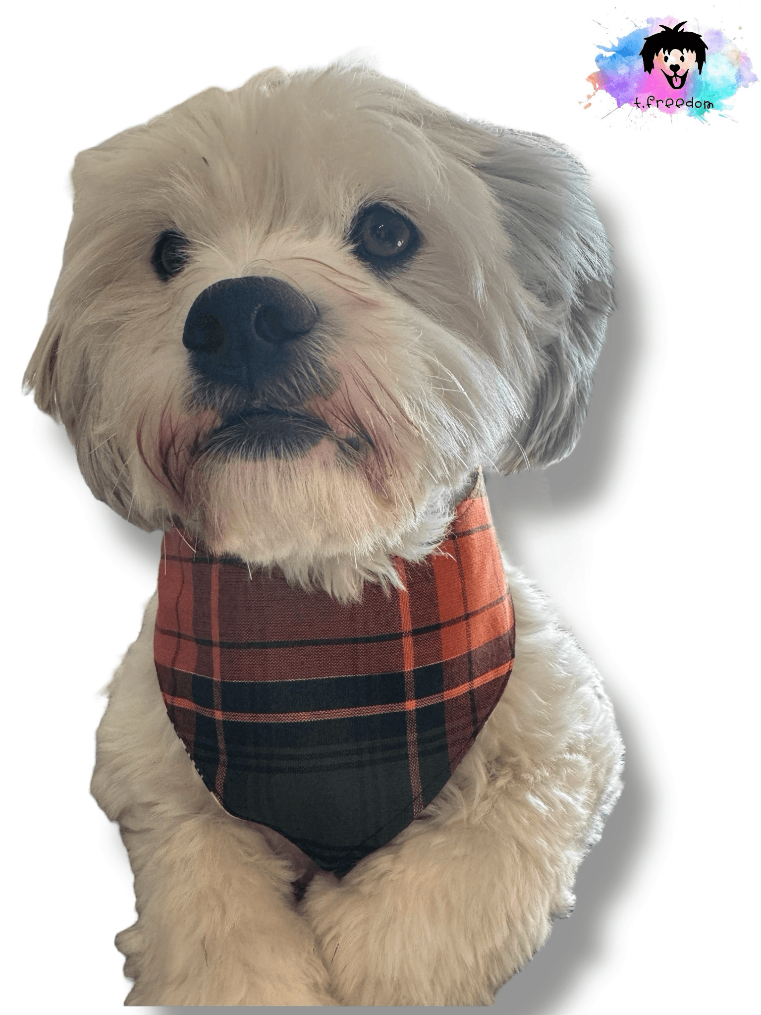 Fallin’ For Treats Dog Bandana gallery image