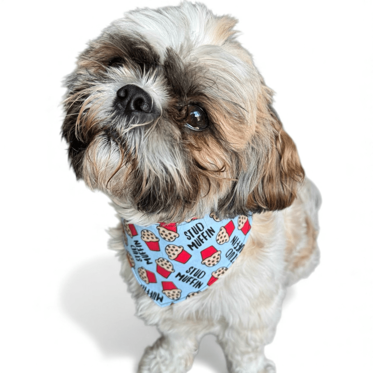 Stud Muffin Reversible Dog Bandana gallery image