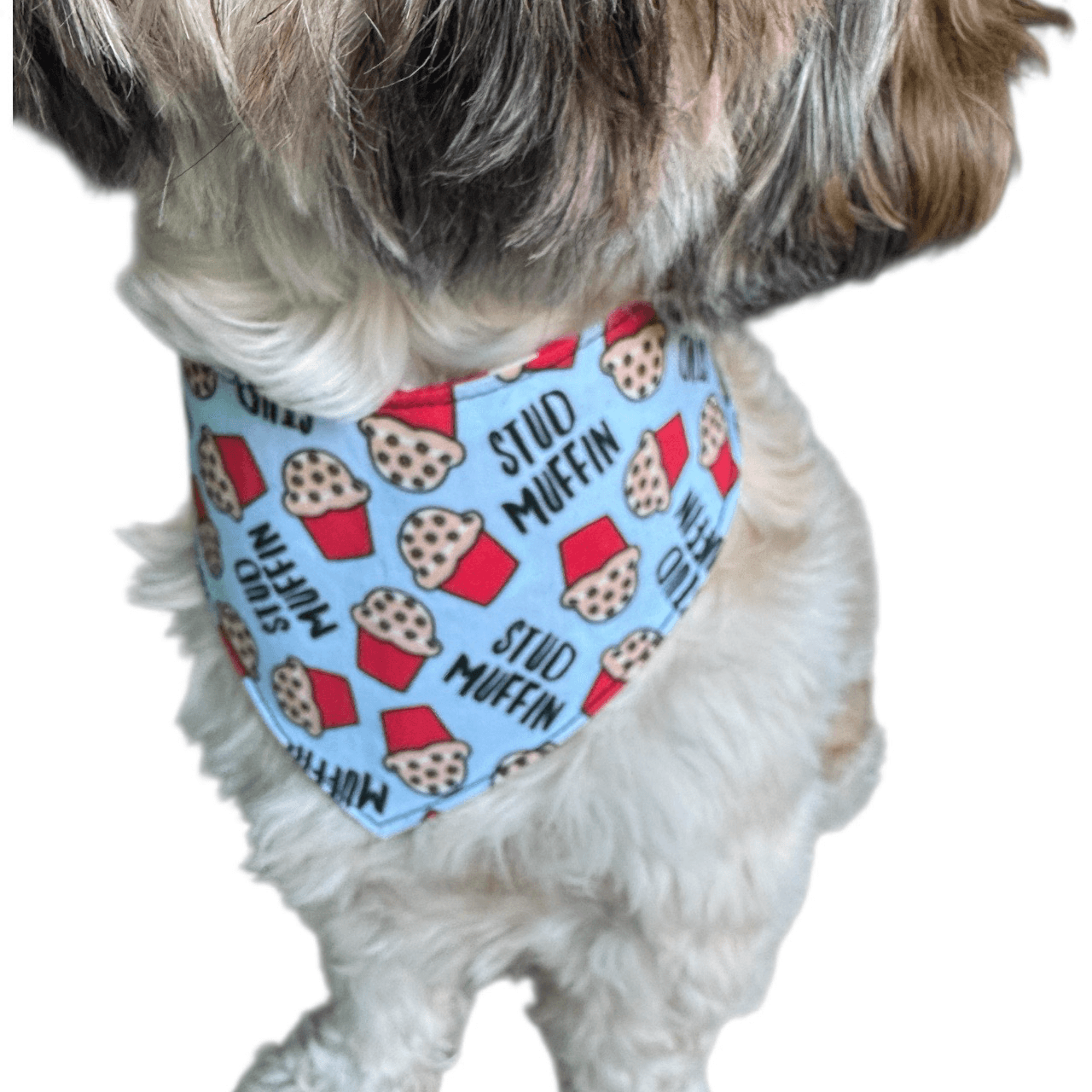 Stud Muffin Reversible Dog Bandana gallery image