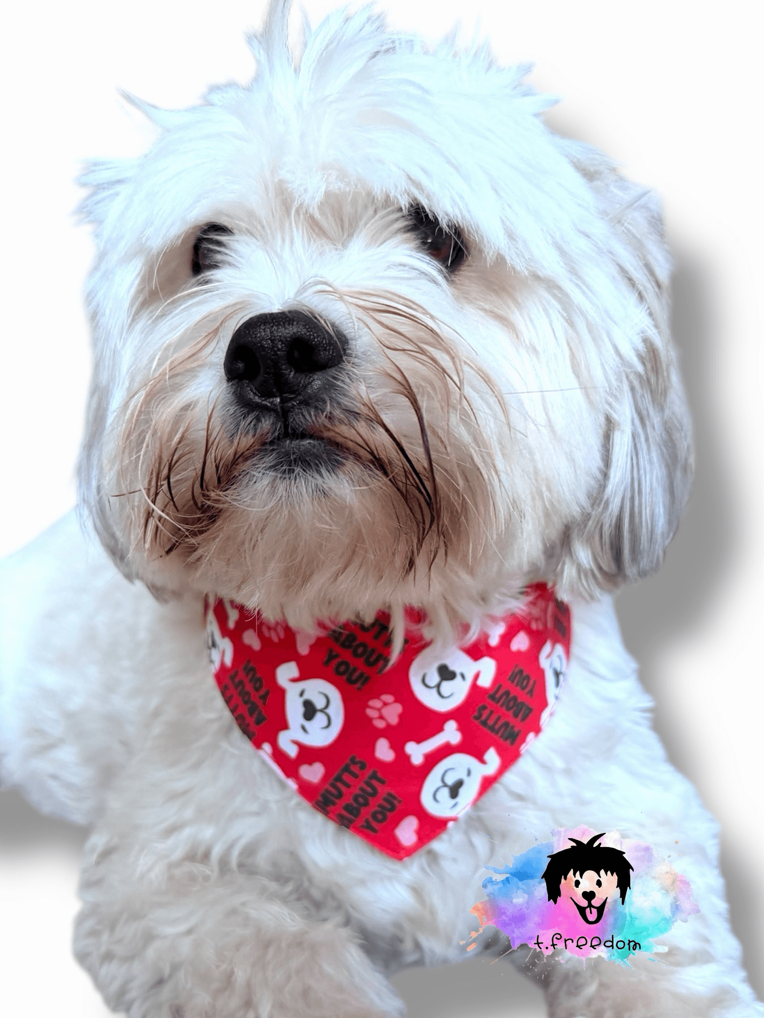 Mutts About You Dog Bandana gallery image