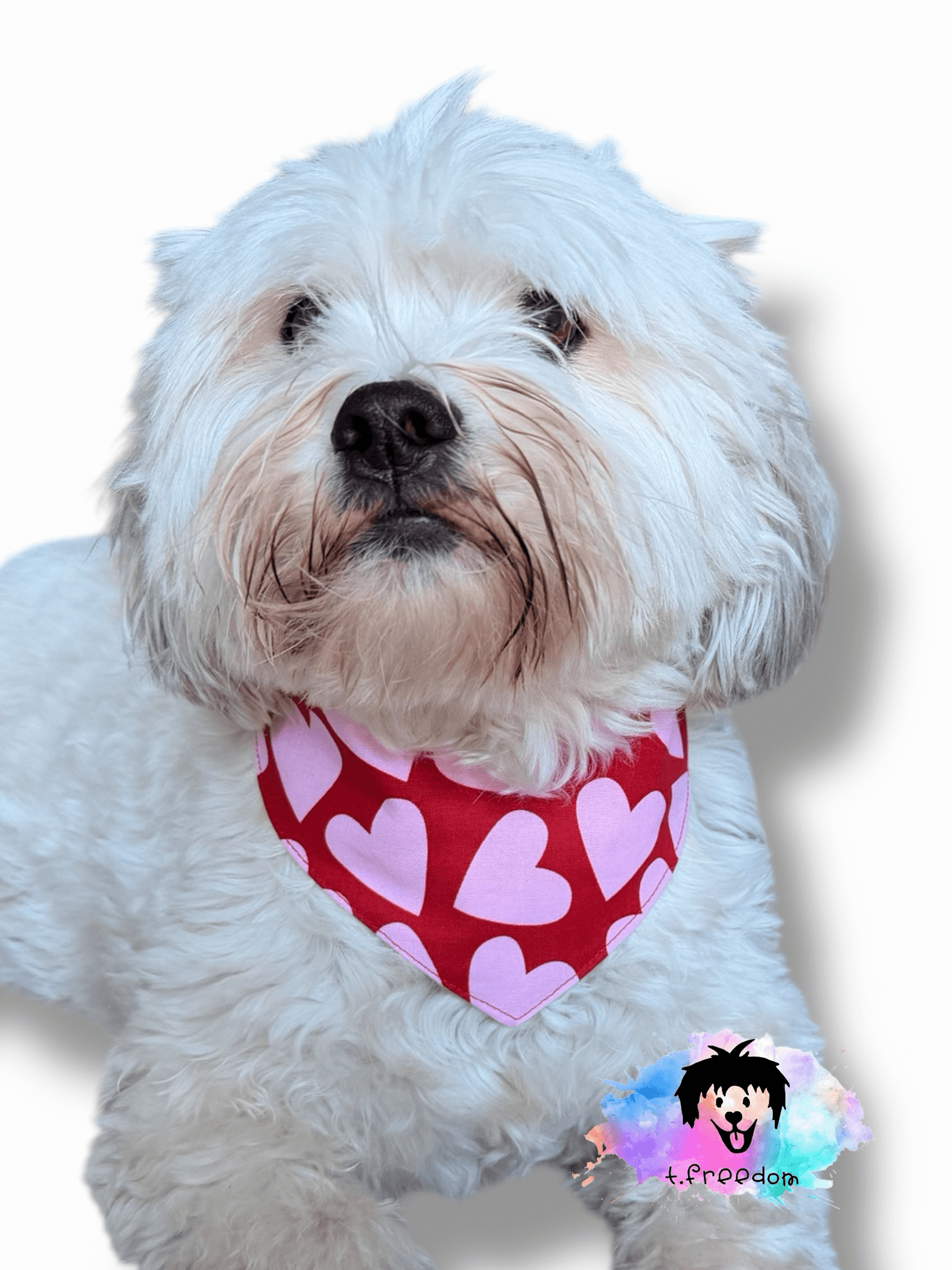Mutts About You Dog Bandana gallery image