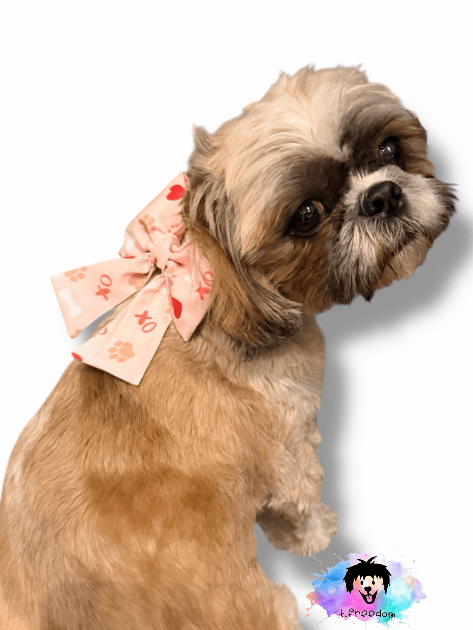 Valentines Dog Bow